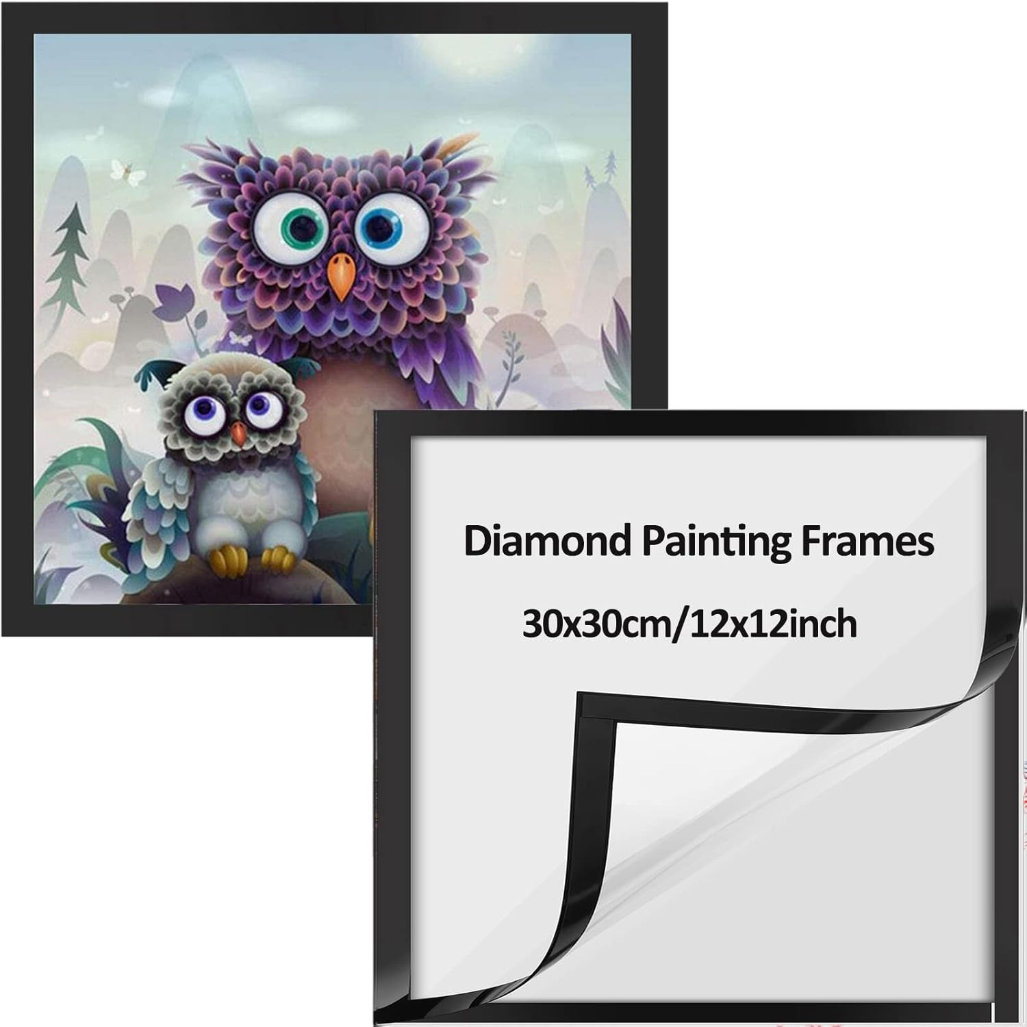 2 Pack Diamond Art Frames, Frames for Diamond Art Pictures 30X30Cm Canvas Size (