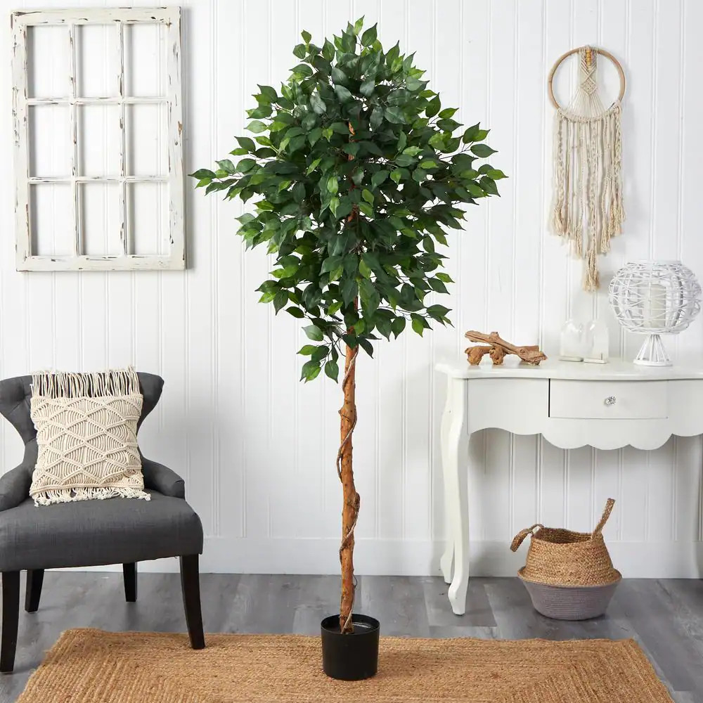 6 Ft. Artificial Ficus Tree