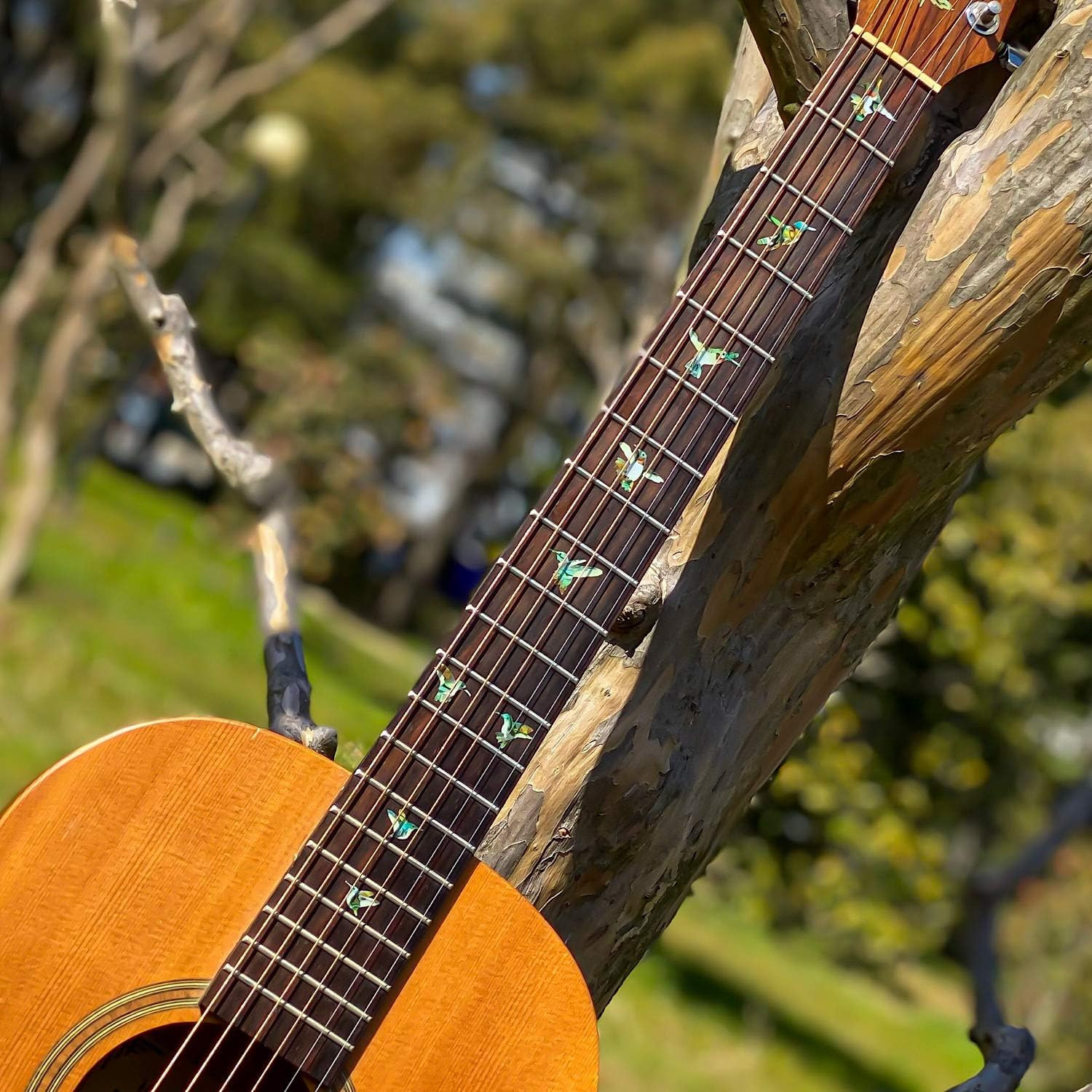 Inlaystickers Bee Hummingbirds – Fret Markers Inlay Stickers Decals for Guitars