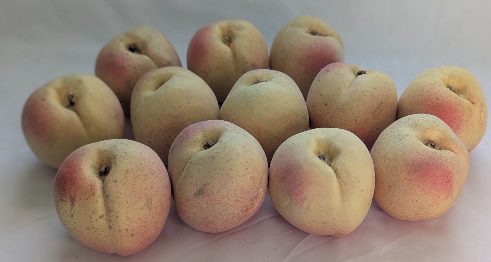 Faux FRUIT Life-Sized Yellow PEACHES 3″ Fuzzy LIFELIKE lightweight Set/ LOT x12