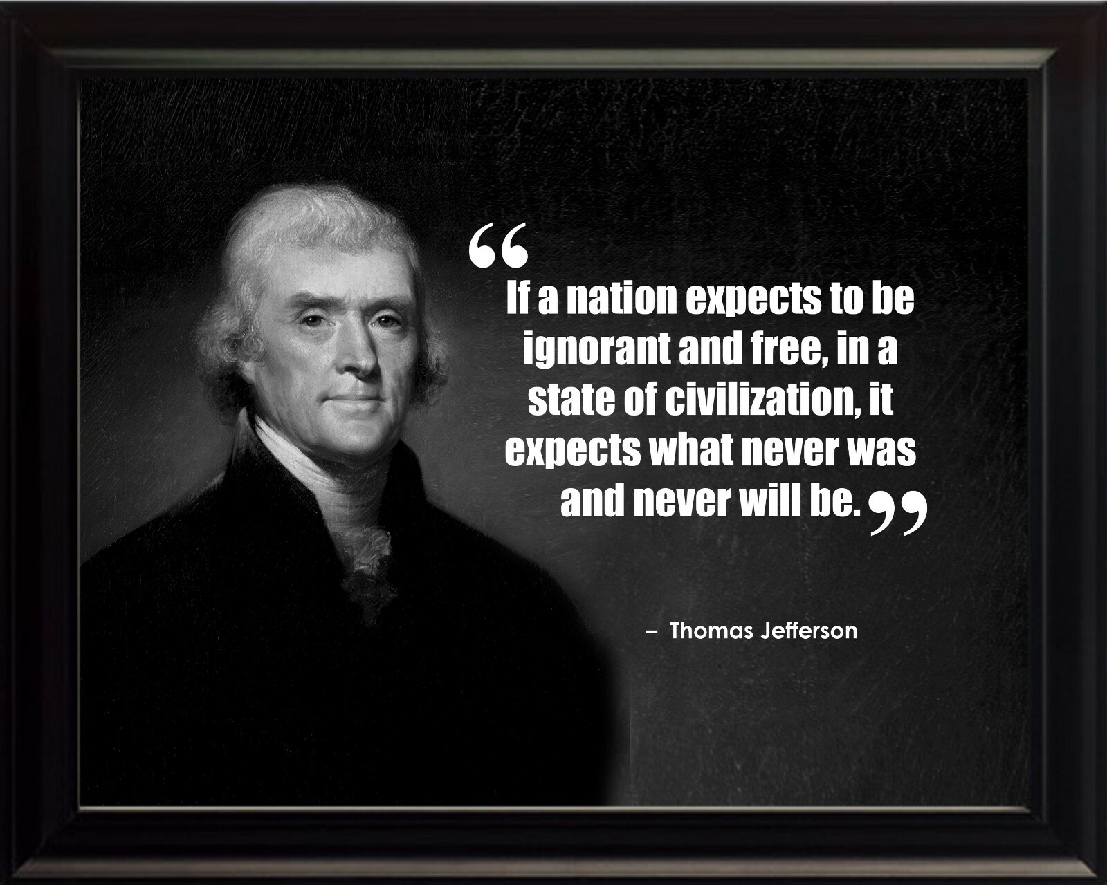 Thomas Jefferson If A Nation Print Picture or Framed Wall Art