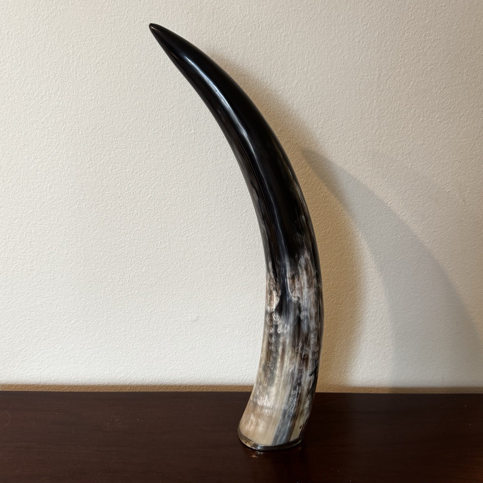 Decorative Horn Statue 15 inch Polished Display Piece with Silver Toned Rim