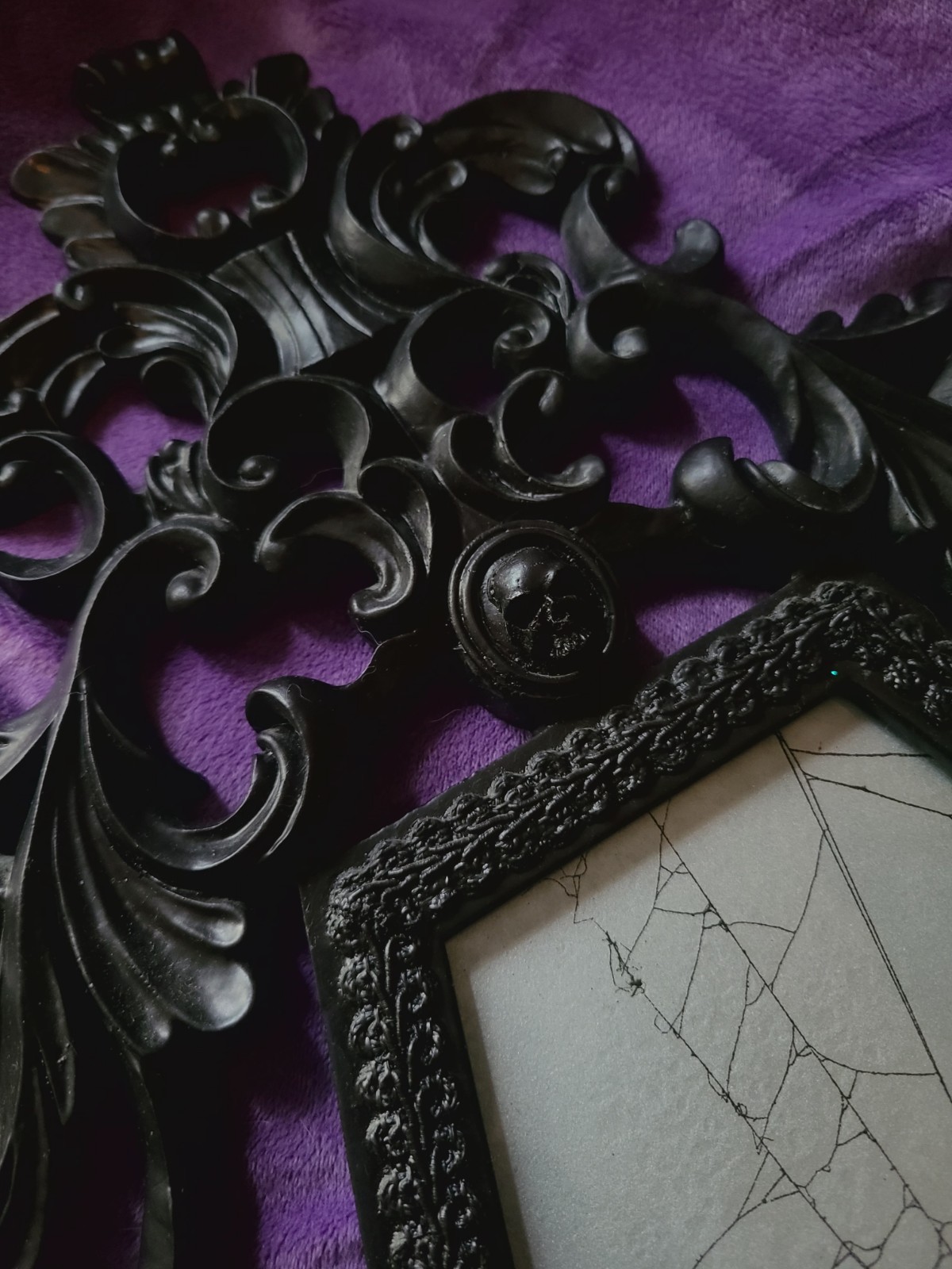 Victorian Gothic Style Coffin Frame with REAL Spider Web